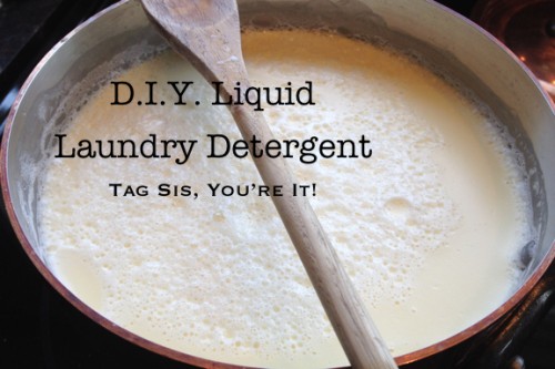 Making Liquid Laundry Detergent